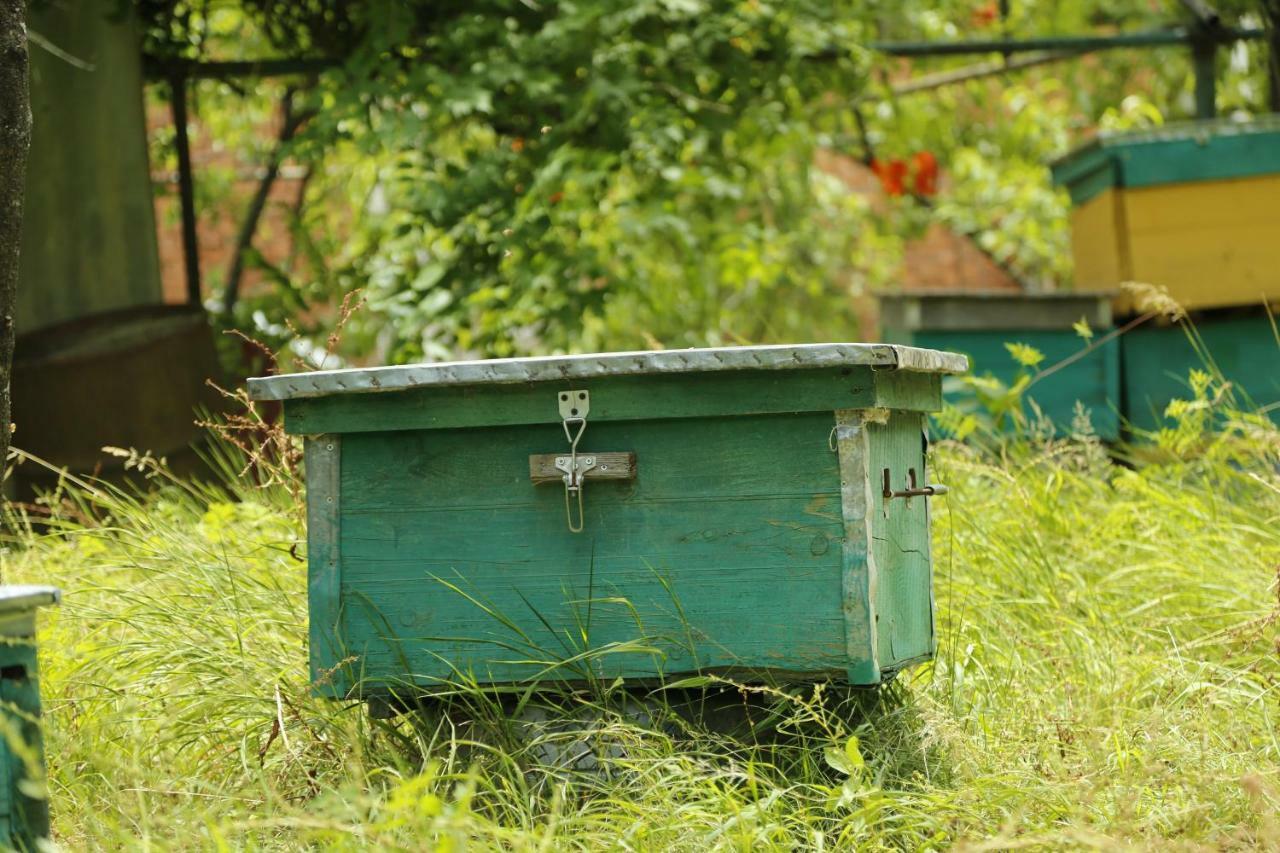 דירות קוטאיסי Beehives מראה חיצוני תמונה